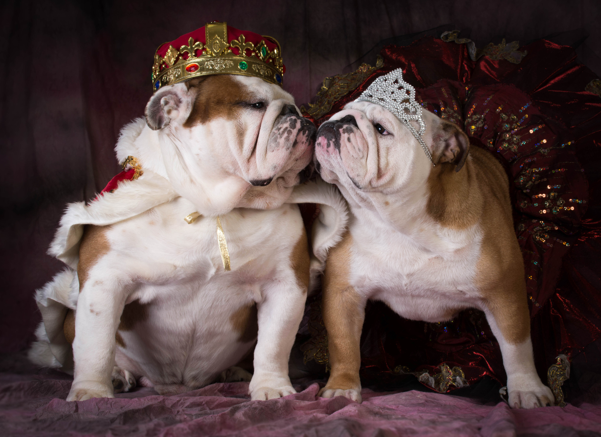 Dog King and Queen